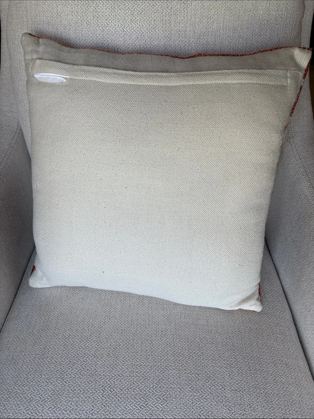 World Market Decorative Pillow